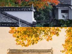-塔川景区