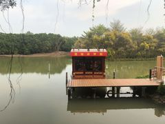 -大湾区中央湿地公园