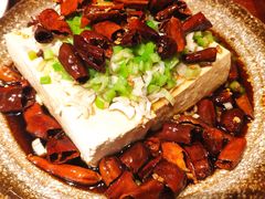 油泼豆腐-额尔敦传统涮(公园西路店)