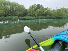 -WhaleSports户外水上运动俱乐部(朝阳公园店)