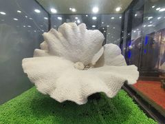 -游龙石文化科普馆