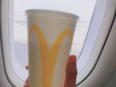 -麦当劳(郑州新郑机场)