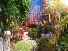 -双季花艺园艺市场(浦东店)