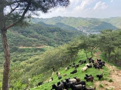 -七星台风景区