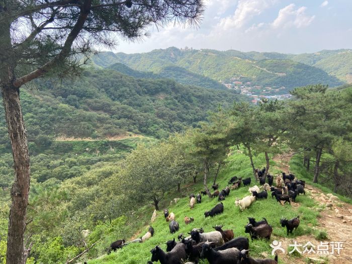 七星台风景区图片