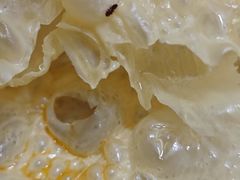 -谭记重庆老火锅(总店)