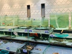-新海利海鲜城·41年珠海老字号(夏湾店)