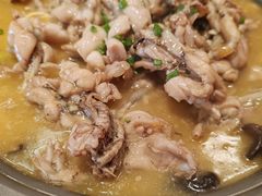 -美蛙四季(六里桥店)