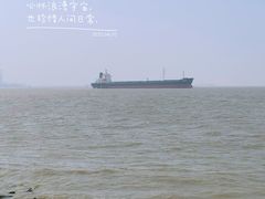 -上海滨江森林公园
