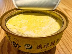 -德禄酸奶(莫家街店)