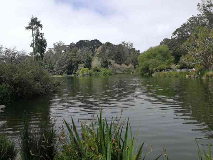 史托湖-"今年春节到过,很多参天大树,不过加州刚发."-大众点评移动版