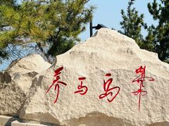-养马岛旅游度假区