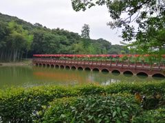-古隆中景区