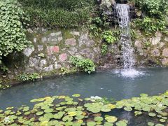 -十八棵（老龙井）御茶园(老龙井店)