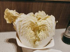 娃娃菜-海底捞火锅(巴黎春天浦建店)