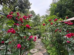 -谷咖啡·鲜花绿植花园餐厅