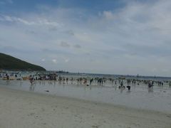 -月光岛