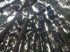 -山王坪喀斯特国家生态公园