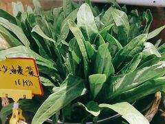 -老灶房-四川土菜(开元店)