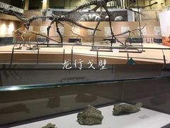 -国家自然博物馆