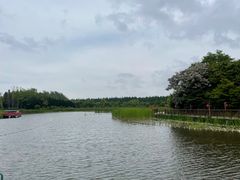 -东平国家森林公园