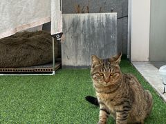 -UNI UNI(环亚凯瑟琳店)