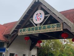 -上海海湾国家森林公园