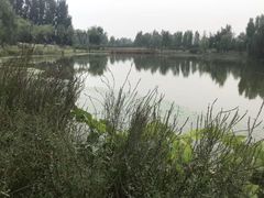 -东郊湿地公园