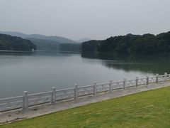 -佛手湖郊野公园