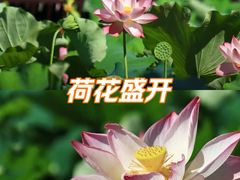 -丝绸小镇荻港古村