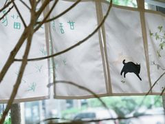 -猫里有甜