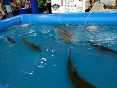 -沈阳国际会展中心管理有限公司