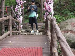 -王顺山国家森林公园