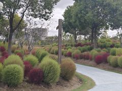 -春花秋色城市公园