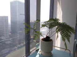 -颜蕾医美黄金微针水光玻尿酸超声炮抗衰中心