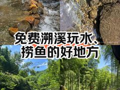 -山沟沟景区