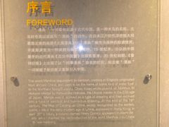 -上海动漫博物馆