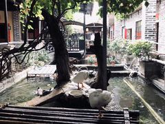 -优之名鹅城