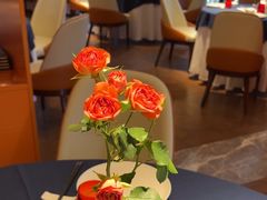 -栾氏荟(柳园店)