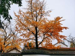 -长兴八都岕景区