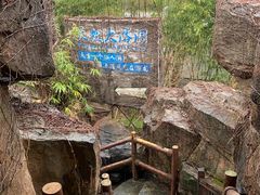 -游龙石文化科普馆