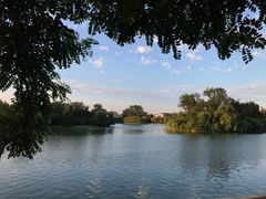 -莱西月湖公园