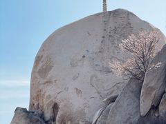 -北京凤凰岭