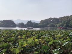 -楼外楼(西湖景区孤山路店)