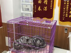 -宠福鑫动物医院·动物疾病诊疗中心(天通苑店)