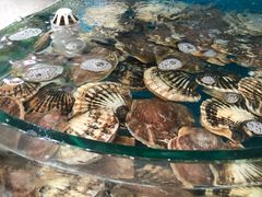 -聚德福海鲜家常菜(刘庄店)