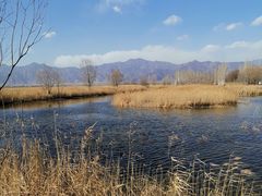-野鸭湖国家湿地公园