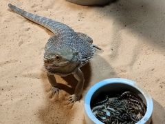 -合肥海洋世界