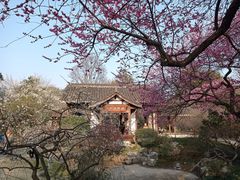 -杭州植物园