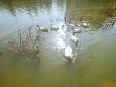 -西安市长乐公园